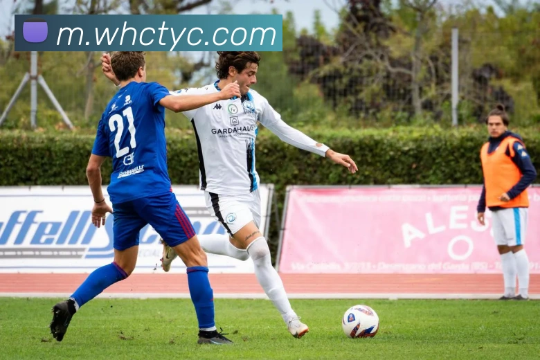 太阳城网站平台生态图